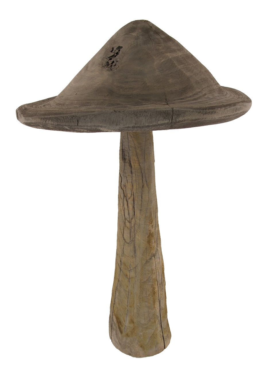 Pilz - 59 cm