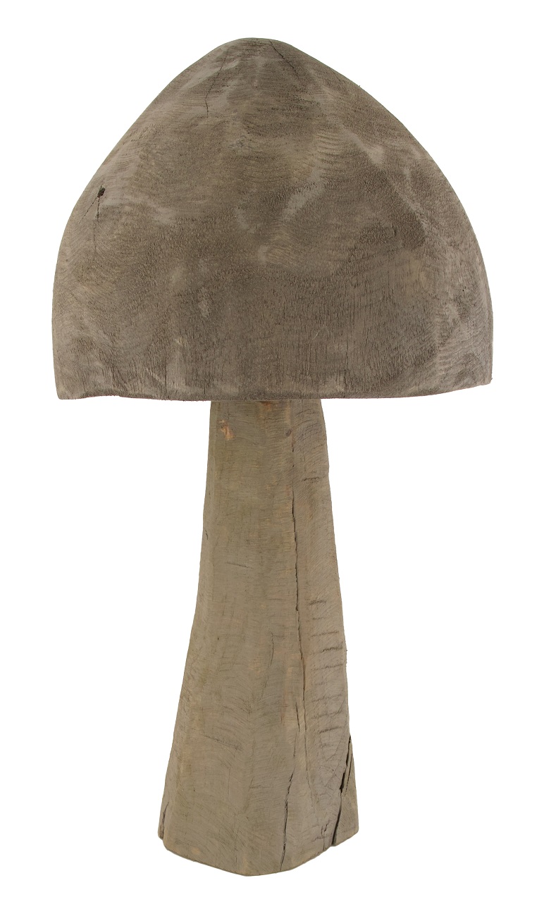 Pilz - 38cm