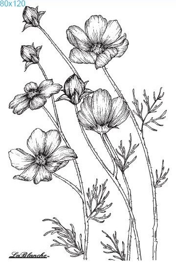 Stempel "Anemonen"