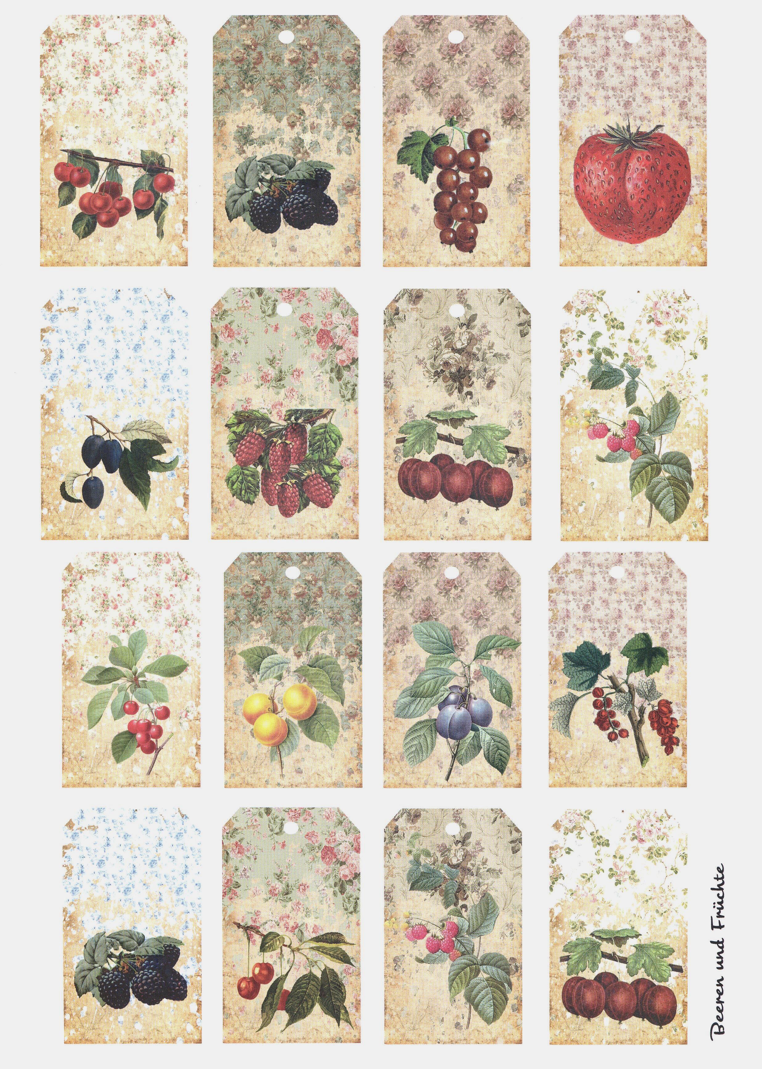 Keramikpapier "Beeren & Früchte I"